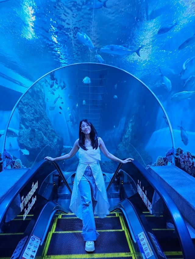 บึงฉวาก สวรรค์ของคนรักปลา 🐟🐠