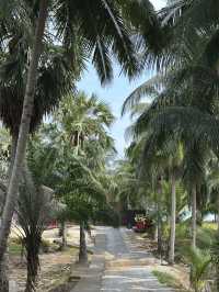 คาเฟ่ทรงถังไม้ โดดเด่นริมทะเลสิชล จ.นครศรีธรรมราช