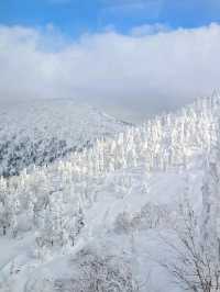 青森で樹氷を見よう