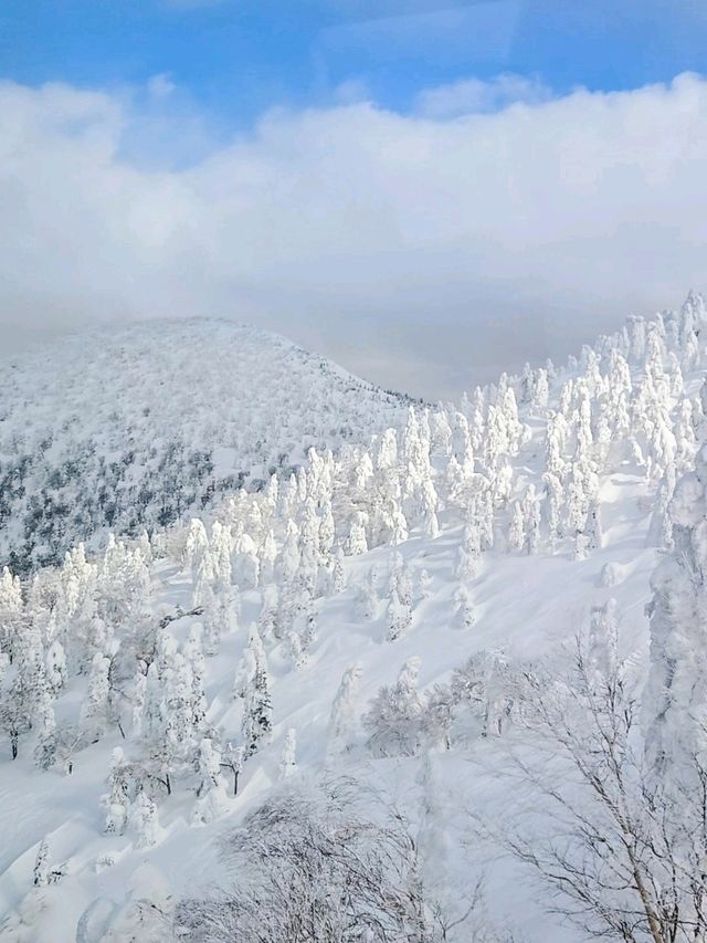 青森で樹氷を見よう