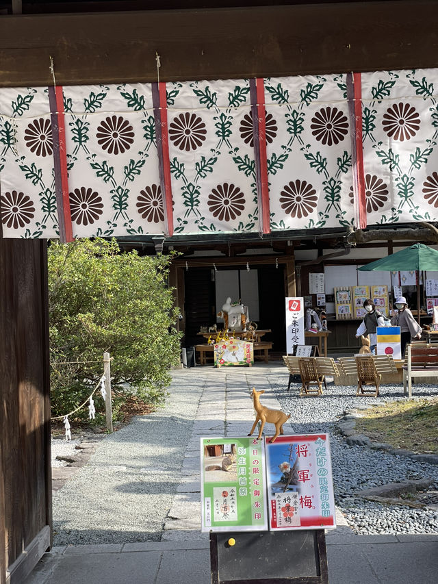 【鎌倉×初春日帰り旅】  珍しい紅白の鳥居  手水舎に獅子頭守りがいっぱい！