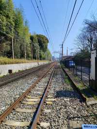 Kyoto: A Journey Through Japan’s Cultural Heart