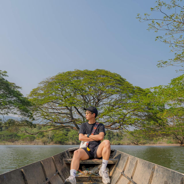 Unseen Chiang Mai 🌳✨ ต้นฉำฉาใต้น้ำ