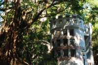 The Historical Significance of the Kowloon Park