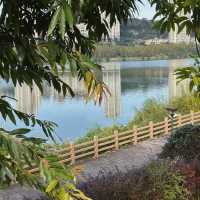 大自然的懷抱 | 樓村濕地公園