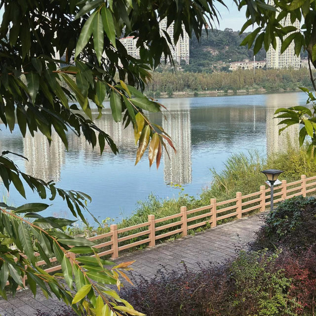 大自然的懷抱 | 樓村濕地公園