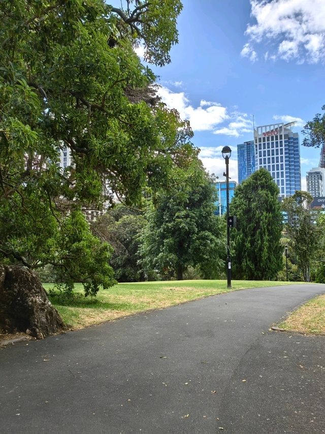 林木茂密古樹參天打卡的Albert Park