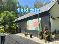 Field cafe ทุ่งหญ้าในป่ายาง