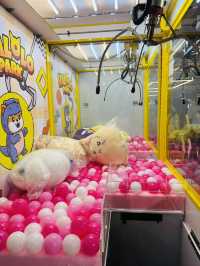 The Ultimate Claw Machine Challenge at Halolo Park – Did I Win?