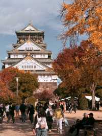 大阪｜見證戰國歷史的大阪城 從石山本願寺三代重建歷史