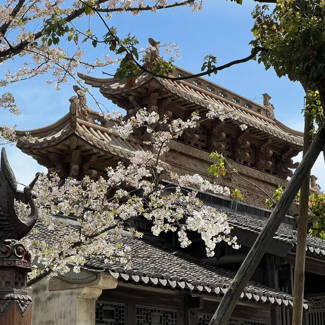 下司古鎮•古鎮櫻遇 
