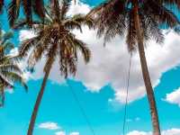 Kampung Agong, Penang: A Rustic Escape with Breathtaking Scenery