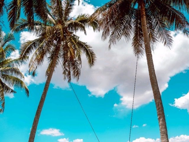 Kampung Agong, Penang: A Rustic Escape with Breathtaking Scenery