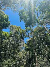 Doi Suthep-Pui National Park