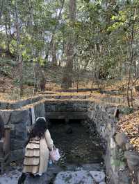 《探索日本的能量景點：熱田神宮與三大神宮》