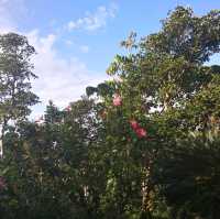 Omoro Botanical Garden