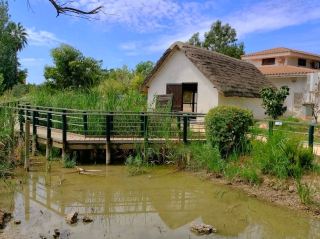 Deltebre is located in the southern part of the province of Tarragona and is the starting point for visiting one of the most important wetlands in Spain: the Ebro Delta Natural Park.