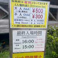 Hiji Falls