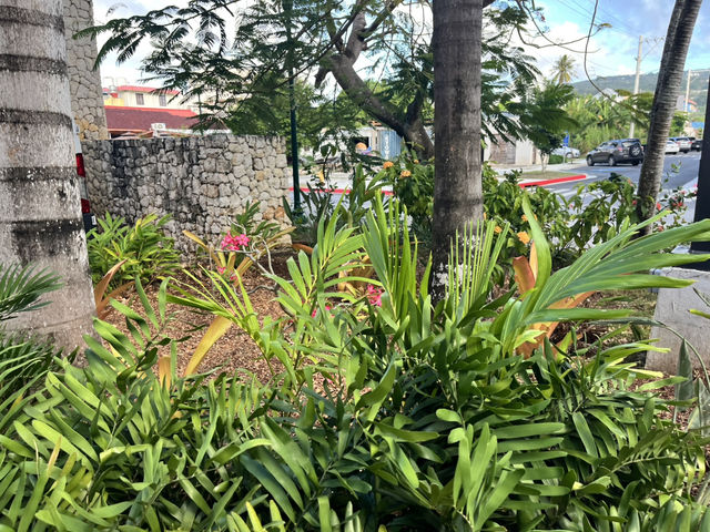 🏝️南国リゾートを満喫！クラウンプラザ サイパン🌺✨
