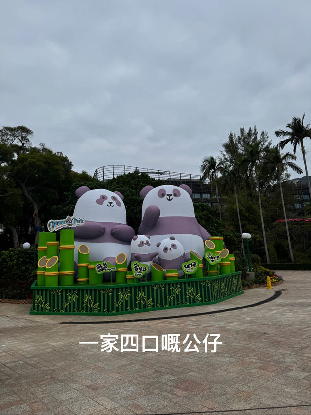 🐼💖【海洋公園雙胞胎熊貓BB全攻略】家姐萌到犯規！細佬招牌「熊貓癱」攻陷全港姨母心💖🐼  