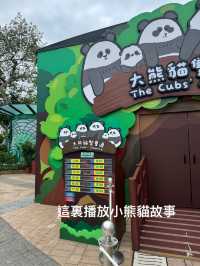 🐼💖【海洋公園雙胞胎熊貓BB全攻略】家姐萌到犯規！細佬招牌「熊貓癱」攻陷全港姨母心💖🐼  