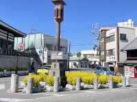 One day trip จุดท่องเที่ยวแถวนาริตะ 