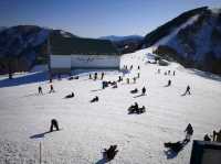 GALA Yuzawa เล่นหิมะใกล้โตเกียว 