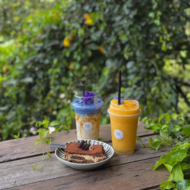 คาเฟ่กลางสวนสุดกรีน บรรยากาศดีสุดฮีลใจ #ระยอง 🍰🌼
