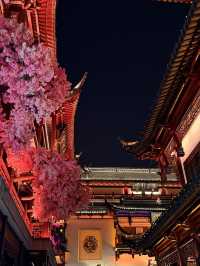 "Shanghai: Where Tradition Meets Innovation, Magic & Flavors"