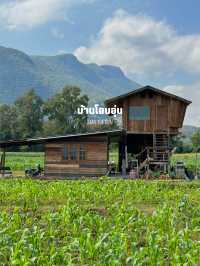 14 พิกัดเที่ยวเชียงใหม่ 🏡⛰️🌦️🌿