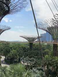 Sakura, Supertrees, and Sundae Bliss! Discovering the Magic of Gardens by the Bay