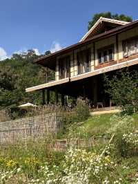 Mori Natural Farm (โมริ เนเชอรัลฟาร์ม)