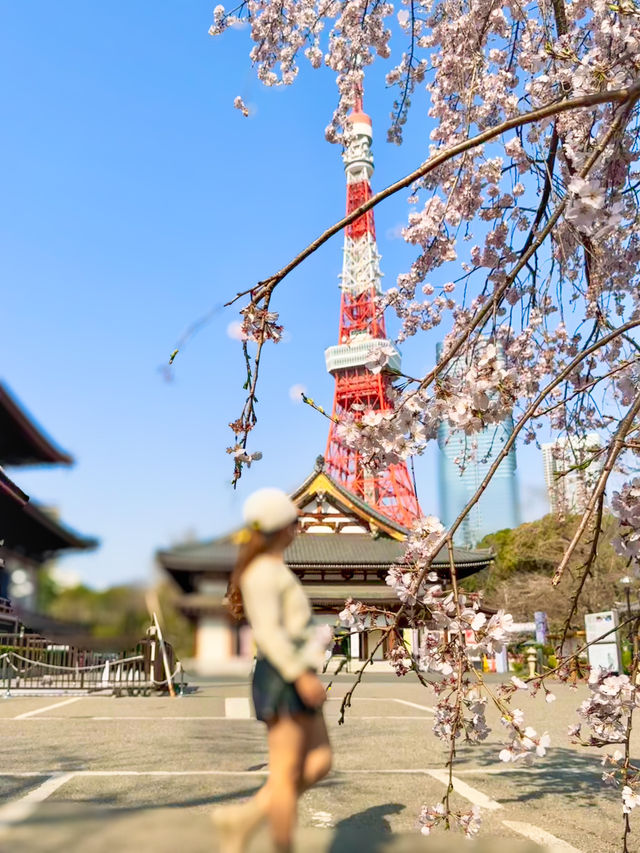 Tokyo Spring vibes unlocked 🌸