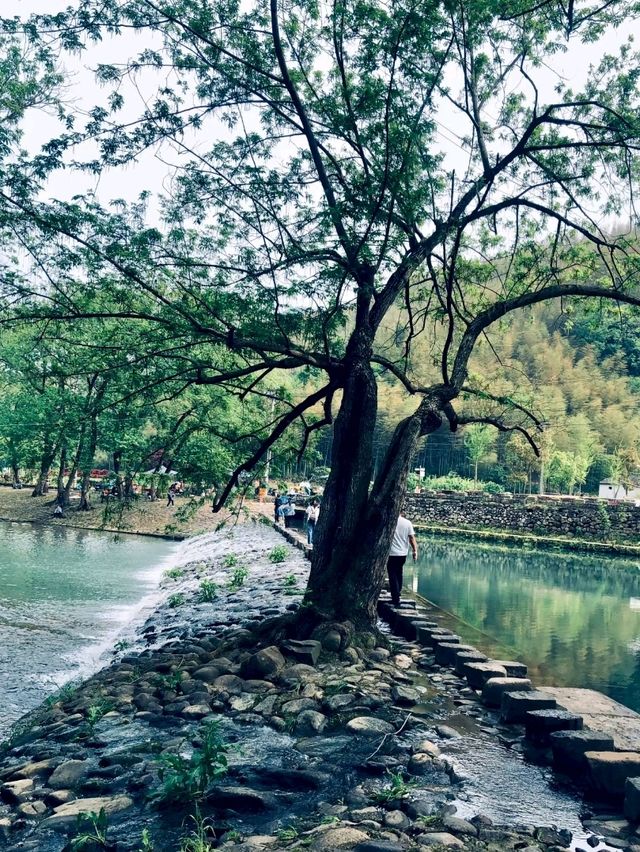 Xiaolu Creek: A Summer Paradise