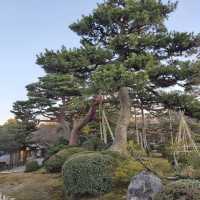 兼六園 (Kenrokuen, Kanazawa) – 日本三名園の一つ、美しき庭園