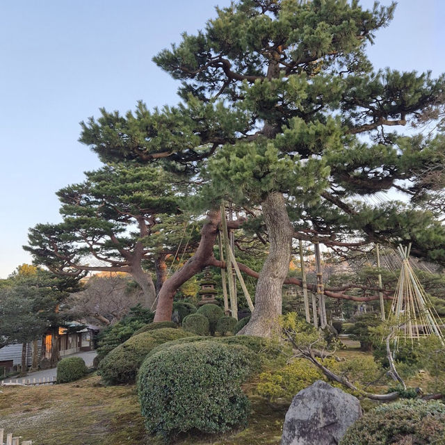 兼六園 (Kenrokuen, Kanazawa) – 日本三名園の一つ、美しき庭園