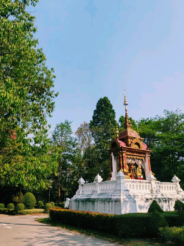 泰國清邁素帖山上著名古跡皇家寺廟景點：雙龍寺，適合打卡拍照📸