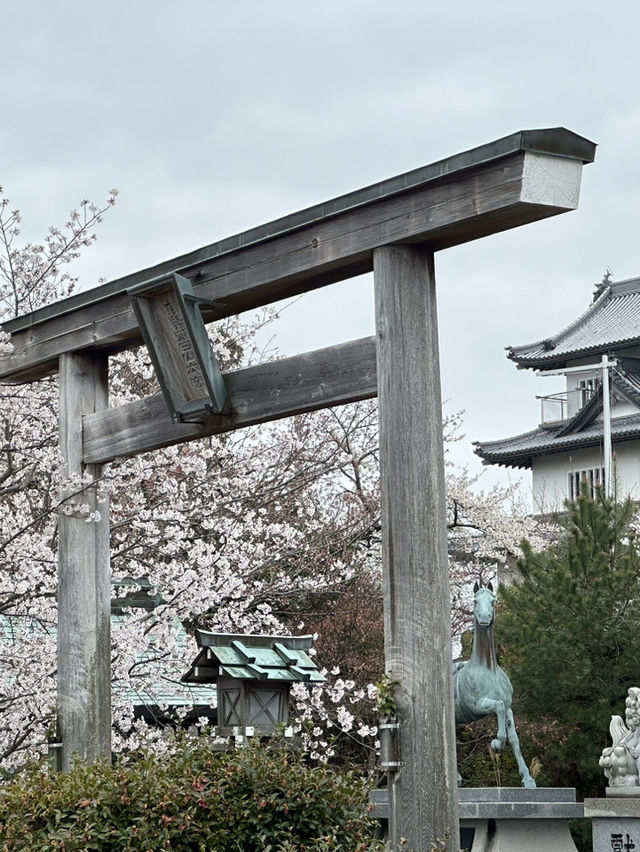 日本香川縣-賞櫻秘境「伊勢朝日山本宮」美到仙境