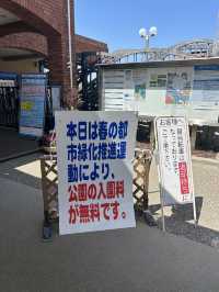 【福岡】桜とネモフィラのコラボが見れる貴重な時期🌸