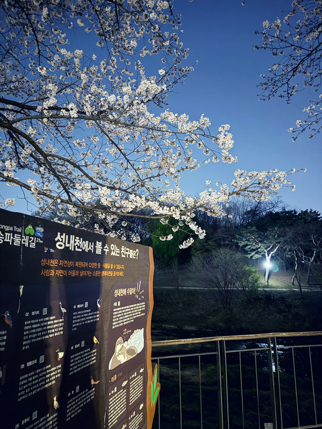 국내 꽃여행 추천지