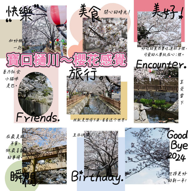 寶口樋川～櫻花下的夢幻  