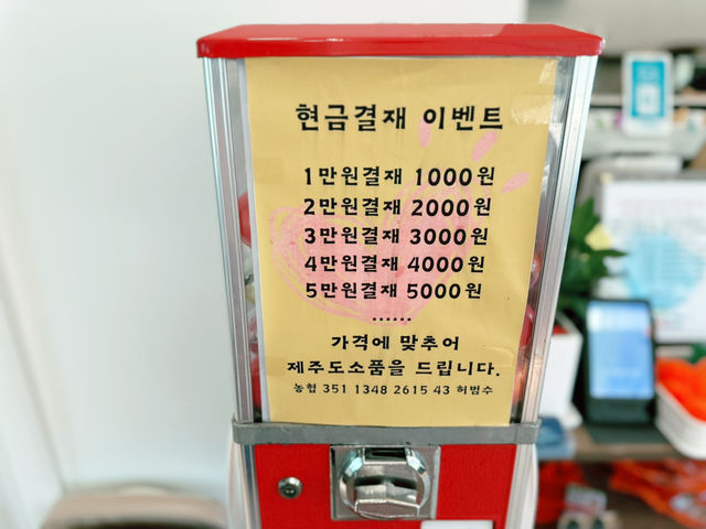 🌊🏝️ 함덕 바다뷰가 펼쳐지는 개방감 좋은 🦶♨️ 족욕카페