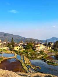 Yuanyang: Spring’s Shimmering Mosaic