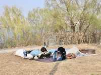 平日漢江公園驚見超浪漫野餐景象！情侶在草地上看韓劇，這才是韓國人最愛的放鬆方式在韓國的平日午後