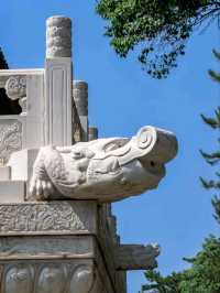 Daci'en Temple: A Sacred Journey Through Tang Dynasty History