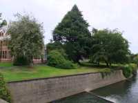 #奧塔哥大學（University of Otago）-紐西蘭但尼丁市