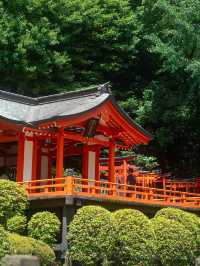 朱のトンネルをくぐって、心が浄化される根津神社⛩️🌿