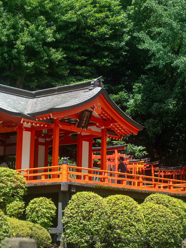 朱のトンネルをくぐって、心が浄化される根津神社⛩️🌿