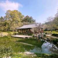 Blossoms and Tranquility: A Day at Hangzhou Botanical Garden