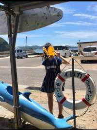 【長崎】400頭のイルカに会えるかも🐬
